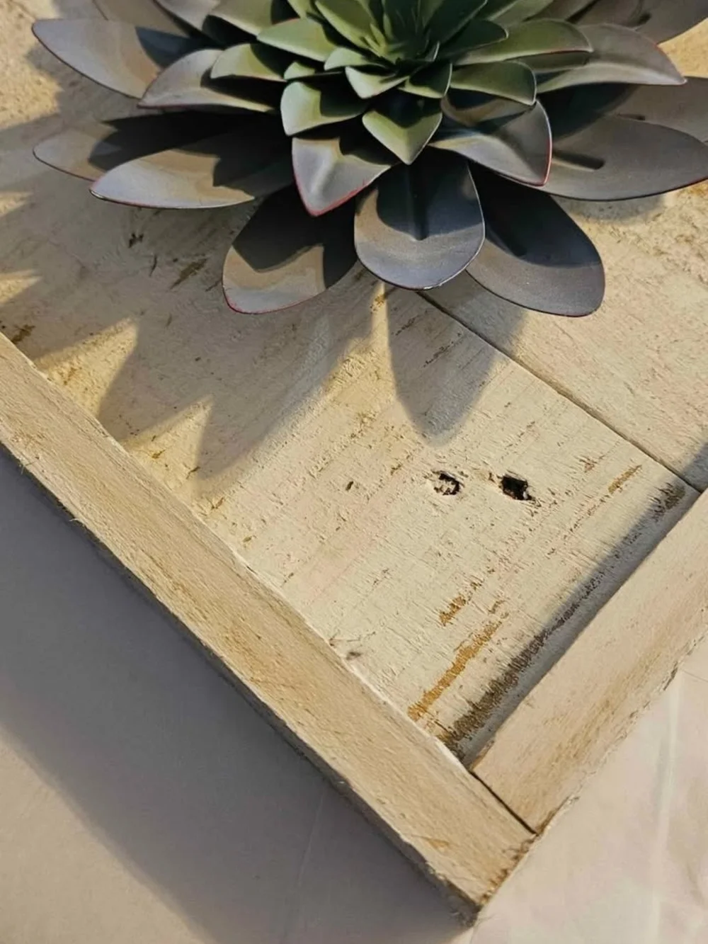 Wall Succulent Shadow Box Decor - Green & Gray